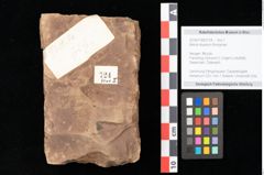 Foto (Objekt + Etikett) von Betula dryadum Brongniart (NHMW-GEO-2024-0188-0724)